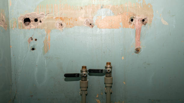 Terrytown, LA Water damage restoration Company
